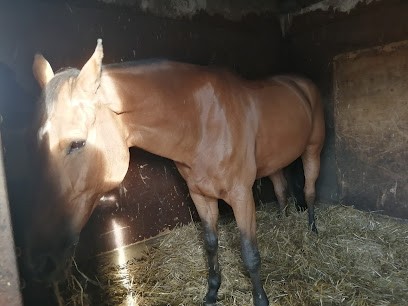 LA CALECHE, Centre Equestres à Marcoussis