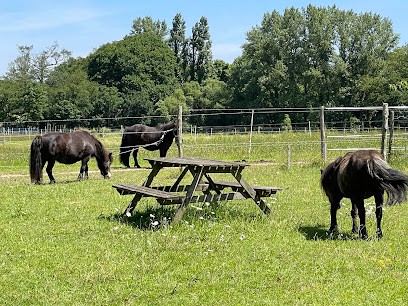Domaine Little Paradise, Pension pour Chevaux à Saint-Avé