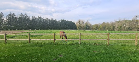 Ecurie De St-germain, Pension pour Chevaux à Versigny