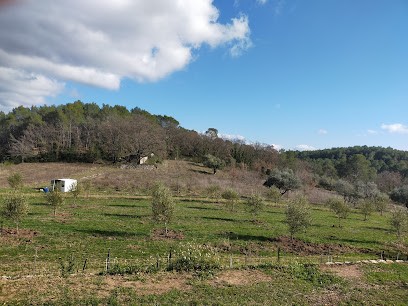Jallot Eric, Centre Equestres à Figanières