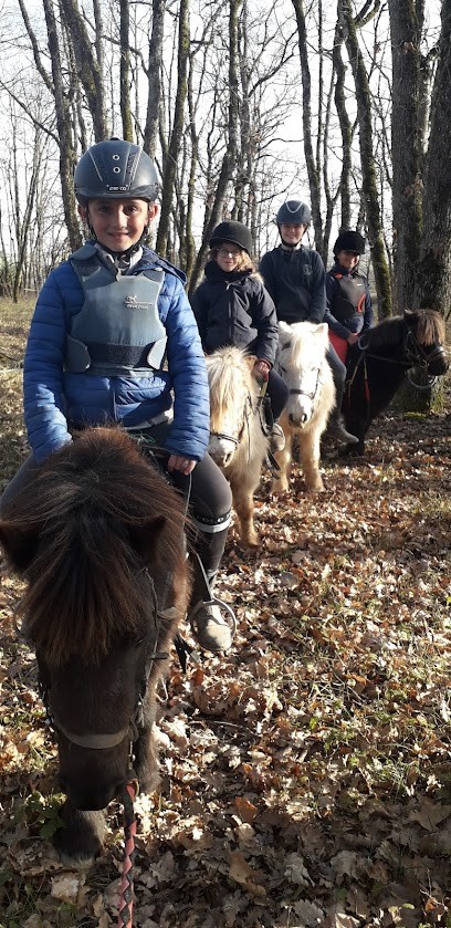 Les Ecuries De La Burgue, Centre Equestres à Vieux