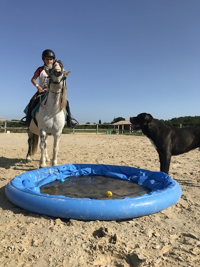 Le Haras De Durfort, Centre Equestres à Durfort-et-Saint-Martin-de-Sossenac