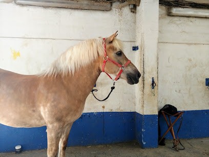 A H F R A, Centre Equestres à Frelinghien