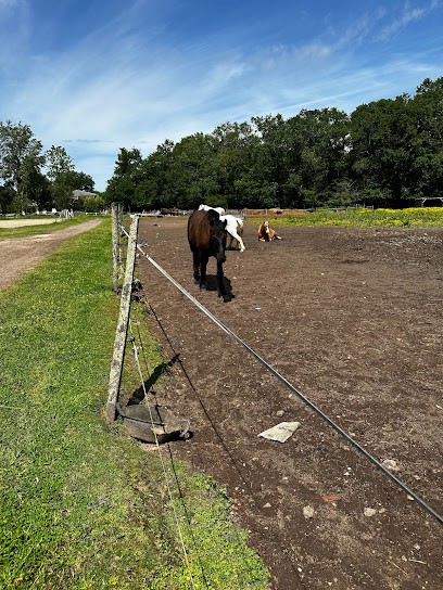 Equi Logos, Centre Equestres à Saint-Sulpice-et-Cameyrac