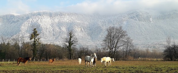 Écurie De Villette, Centre Equestres à Saint-Laurent-du-Pont