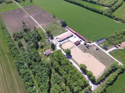 Les Écuries Des Palmiers, Centre Equestres à Ciré-d'Aunis