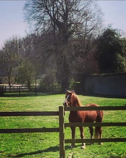 Paddocks de Vauville, Pension pour Chevaux à Mathieu