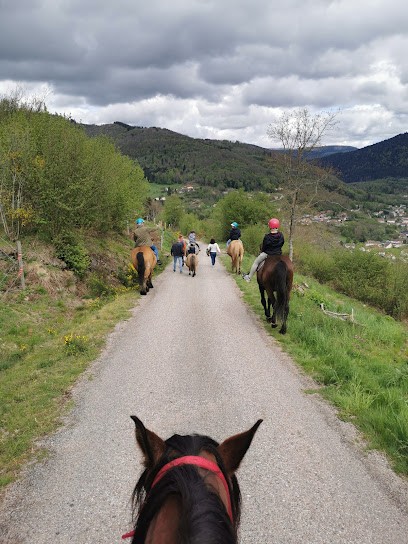 Crins Des Vosges, Centre Equestres à La Bresse