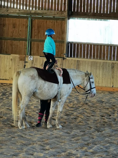 Ecurieterranaise, Pension pour Chevaux à Pierre-de-Bresse