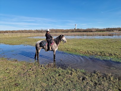 Les Poneys D'aurel, Centre Equestres à Junas