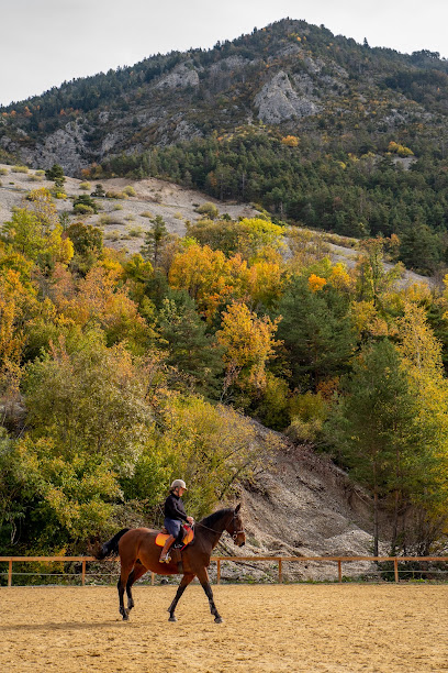 Gaec Mais C'est Qui Pension Pour Chevaux à Thorame-Haute