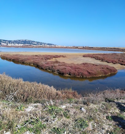 Equestrian Center De Sète, Centre Equestres à Sète