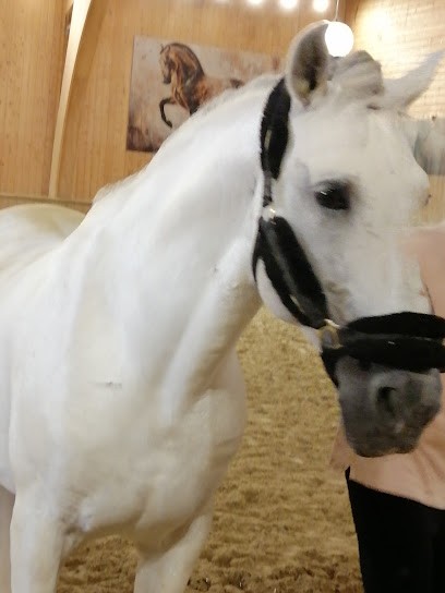 Cavalcade, Centre Equestres à Ermenonville