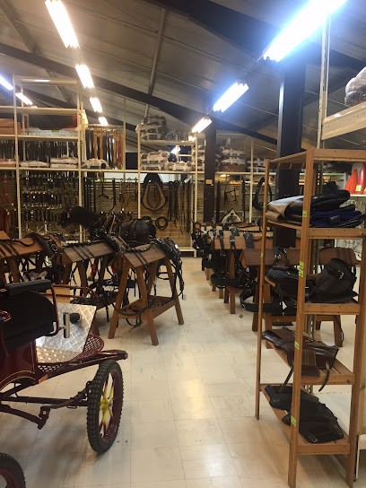 Cheval Paradis, Magasin de Matériel d'Equitation à Septeuil