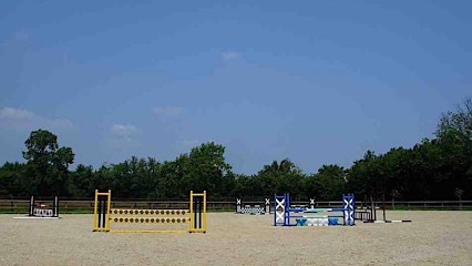 Ecurie La Hagriére Élevage du tourtel, Pension pour Chevaux à Broglie