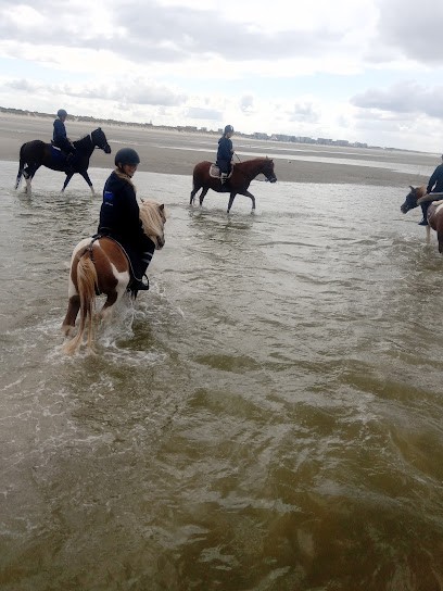Equestrian Center Des Tilleuls, Centre Equestres à Villiers-Adam