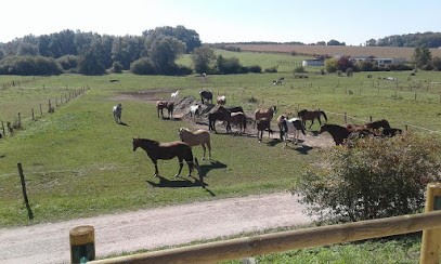 Schaeffer Anne-Madeleine, Centre Equestres à Chèvremont