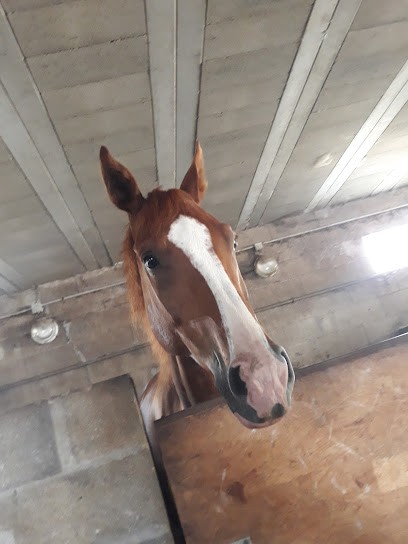 Ecurie Des Vignes Aux Bonshommes, Centre Equestres à Fontenailles