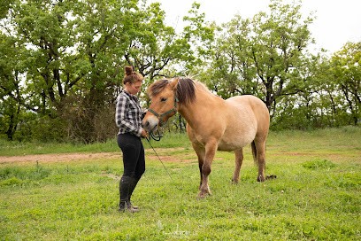 Equestrian Center Kalkarwan, Centre Equestres à Saint-Laurent-d'Olt