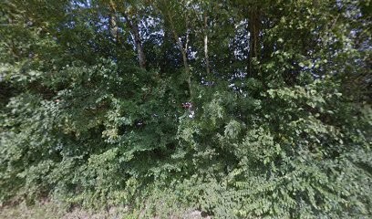 Pregnin Pony Club, Centre Equestres à Saint-Genis-Pouilly