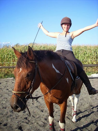 L'amipoons, Centre Equestres à Sainte-Barbe