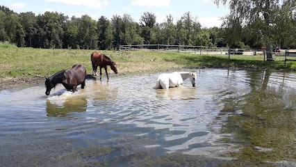 Chavalnat Équi-Évolution, Centre Equestres à Joudes