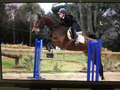 L'Etalon Papillon, Pension pour Chevaux à Gassin