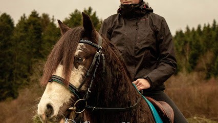 EQUIMAD, Pension pour Chevaux à Thiéfosse