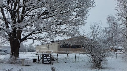 Haras De l'Epine Noire : pension cheval Lisieux (proche de Caen) - écurie proprietaire, Centre Equestres aux Authieux-Papion