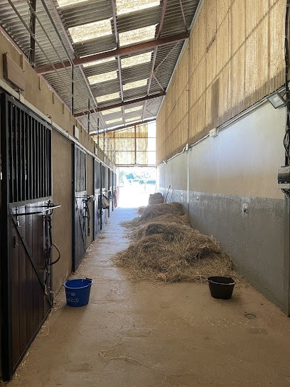 Equestrian Club Du Marmandais, Centre Equestres à Montpouillan