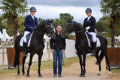 Elevage Fast, Pension pour Chevaux à Saint-Geniès