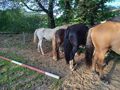 Ker Ehwaz Equitation, Centre Équestre à Guiscriff