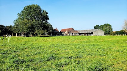 Pony Club De Merville A Cheval Leyval, Centre Equestres à Merville
