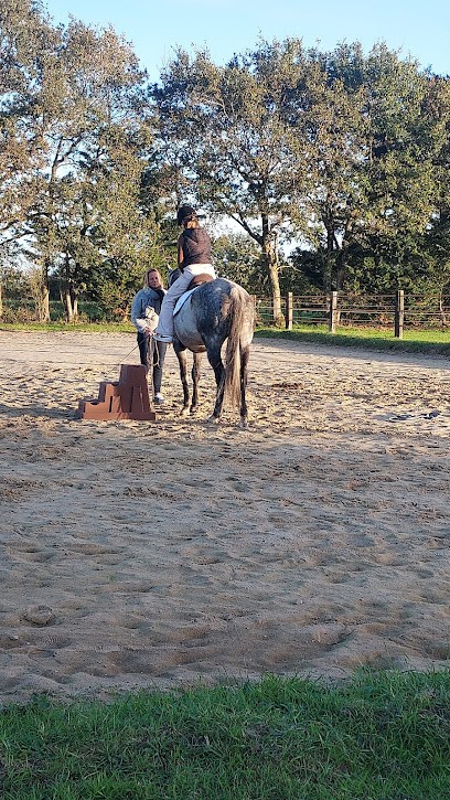 ChevalNatureDeGrandLieu, Pension pour Chevaux à Saint-Philbert-de-Grand-Lieu