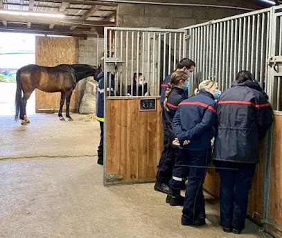 Hippocap, Centre Equestres à Haguenau
