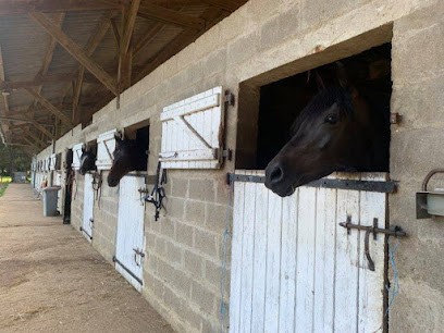 Domaine Equestre Hainaut, DEH - Le Canter, Centre Equestres à Précigné