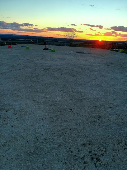 Les Écuries Pension Trade Valorisation Débourrage, Pension pour Chevaux à Calviac-en-Périgord
