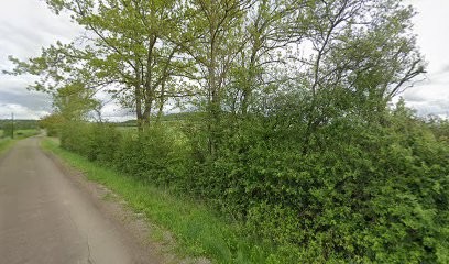 PONEY CLUB DU MOULIN, Centre Equestres à Villaines-les-Prévôtes