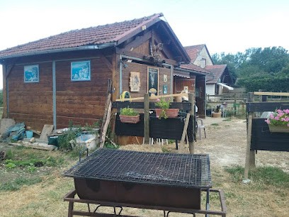 RANCH FREEDOM'S HORSES, Centre Equestres à Injoux-Génissiat