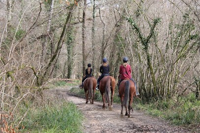 Refuge Du Haras D'EAlmy ( Bureau ), Pension pour Chevaux à Saint-Pierre-d'Irube