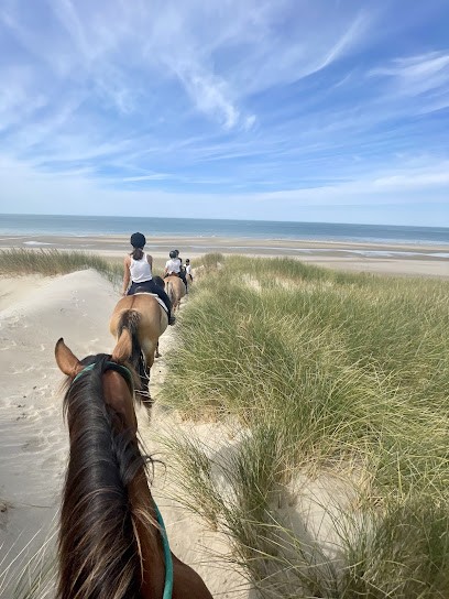 Space Equestrian Henson - L'étrier, Centre Equestres à Fort-Mahon-Plage