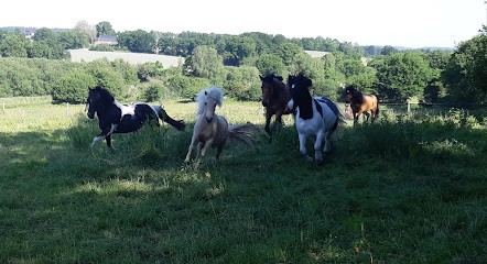 L'amiso Connexion Animale, Centre Equestres à Plumelec