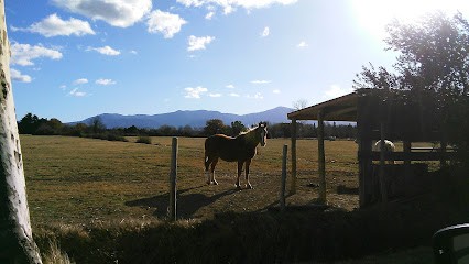 Lepoujet, Pension pour Chevaux à Corneilla-del-Vercol