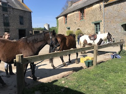 Les écuries de May, Centre Equestres à Miniac-Morvan