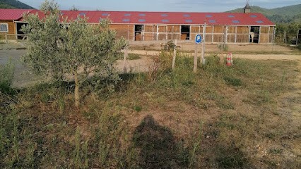 Les Ecuries de Louarane, Pension pour Chevaux à Signes