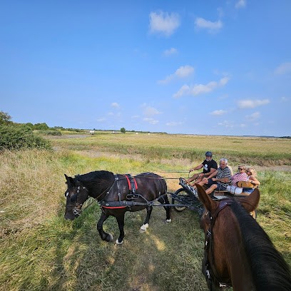 Haras De L'ilatte SCEA, Centre Equestres à Saujon