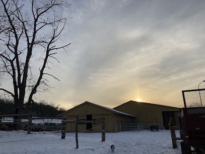 La Petite Ecurie, Centre Equestres à Gresswiller