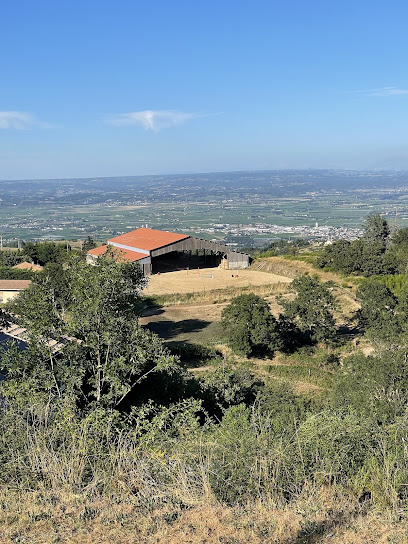 Écurie De Gulizar Centre Équestre à Saint-Romain-de-Lerps