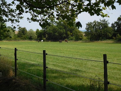 Pension Equestre Domaine De Tayolle, Pension pour Chevaux à Entraigues-sur-la-Sorgue