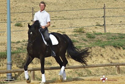Ecurie Francjoie, Pension pour Chevaux à Villarzel-du-Razès